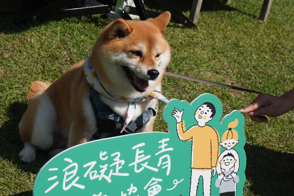 萌寵出動！2026《浪愛在身旁》公益路跑3/7台中登場